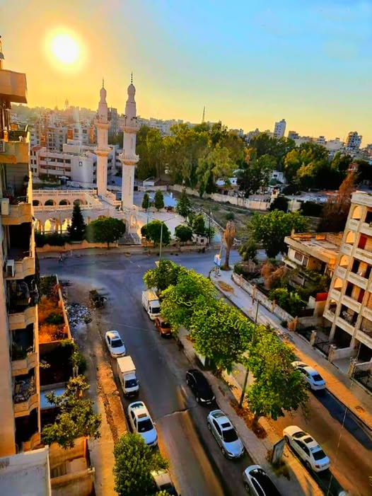 اللاذقية